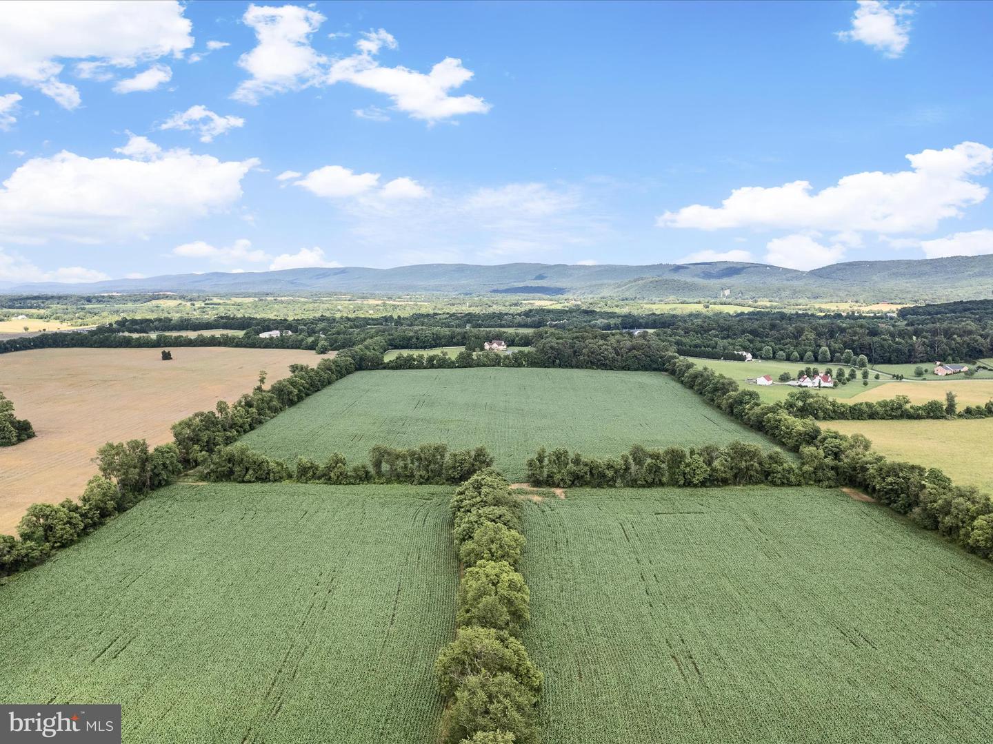 1741 PARSHALL ROAD, BERRYVILLE, Virginia 22611, 4 Bedrooms Bedrooms, ,3 BathroomsBathrooms,Residential,For Sale,1741 PARSHALL ROAD,VACL2003864 MLS # VACL2003864