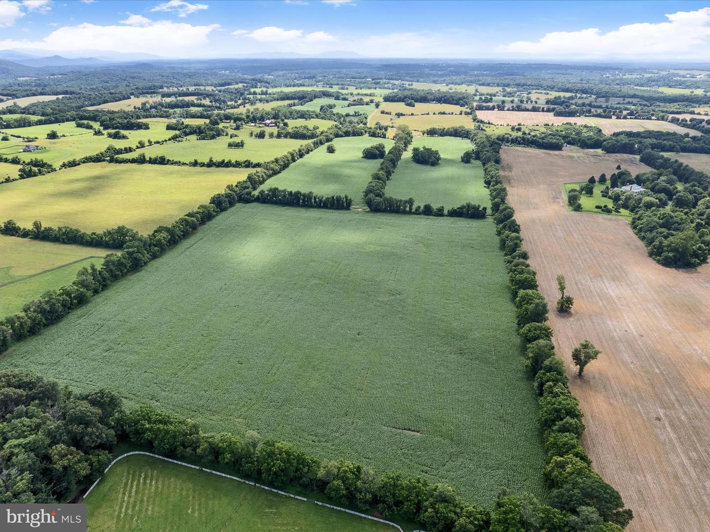 1741 PARSHALL ROAD, BERRYVILLE, Virginia 22611, 4 Bedrooms Bedrooms, ,3 BathroomsBathrooms,Residential,For Sale,1741 PARSHALL ROAD,VACL2003864 MLS # VACL2003864