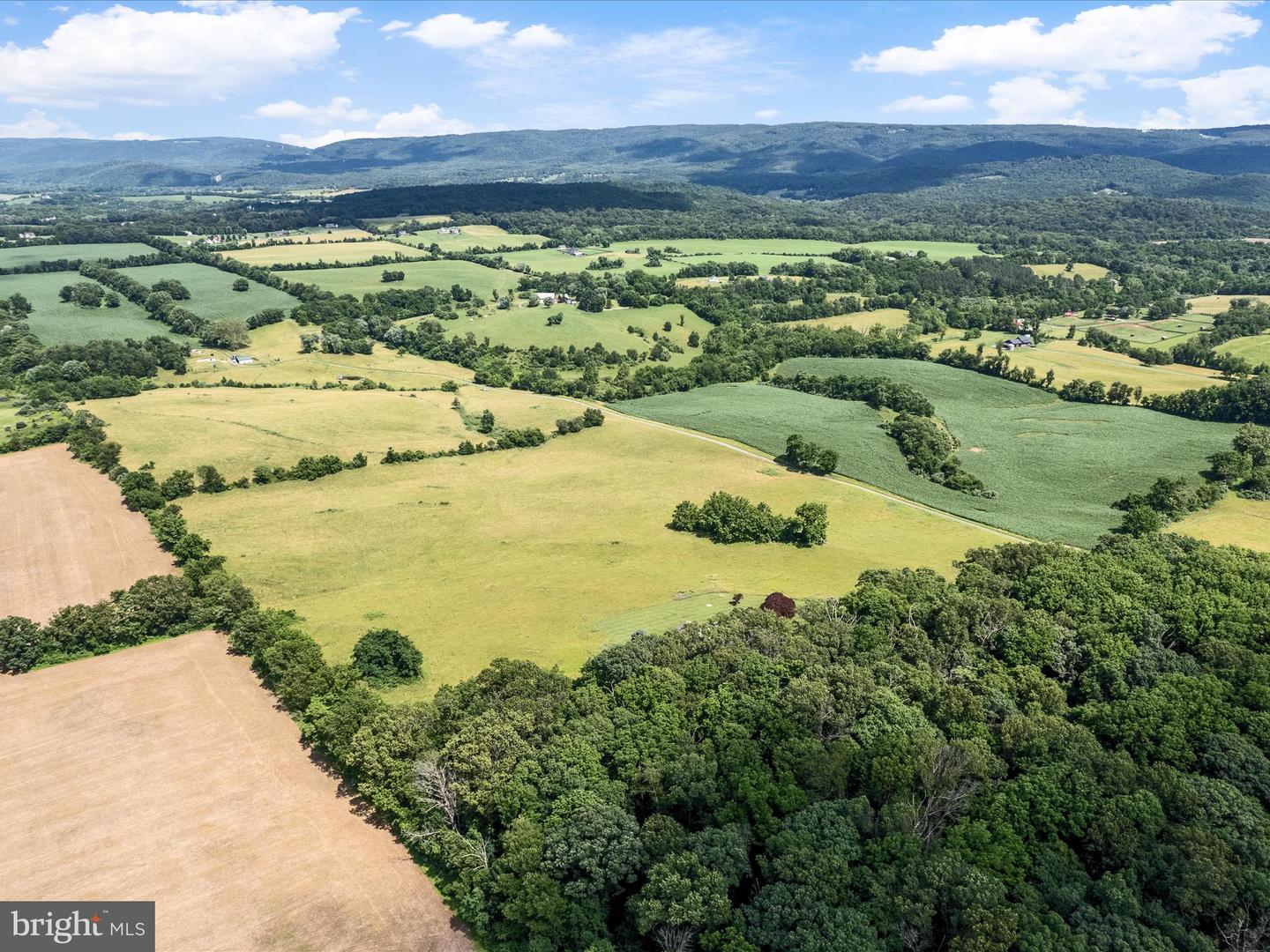 1741 PARSHALL ROAD, BERRYVILLE, Virginia 22611, 4 Bedrooms Bedrooms, ,3 BathroomsBathrooms,Residential,For Sale,1741 PARSHALL ROAD,VACL2003864 MLS # VACL2003864