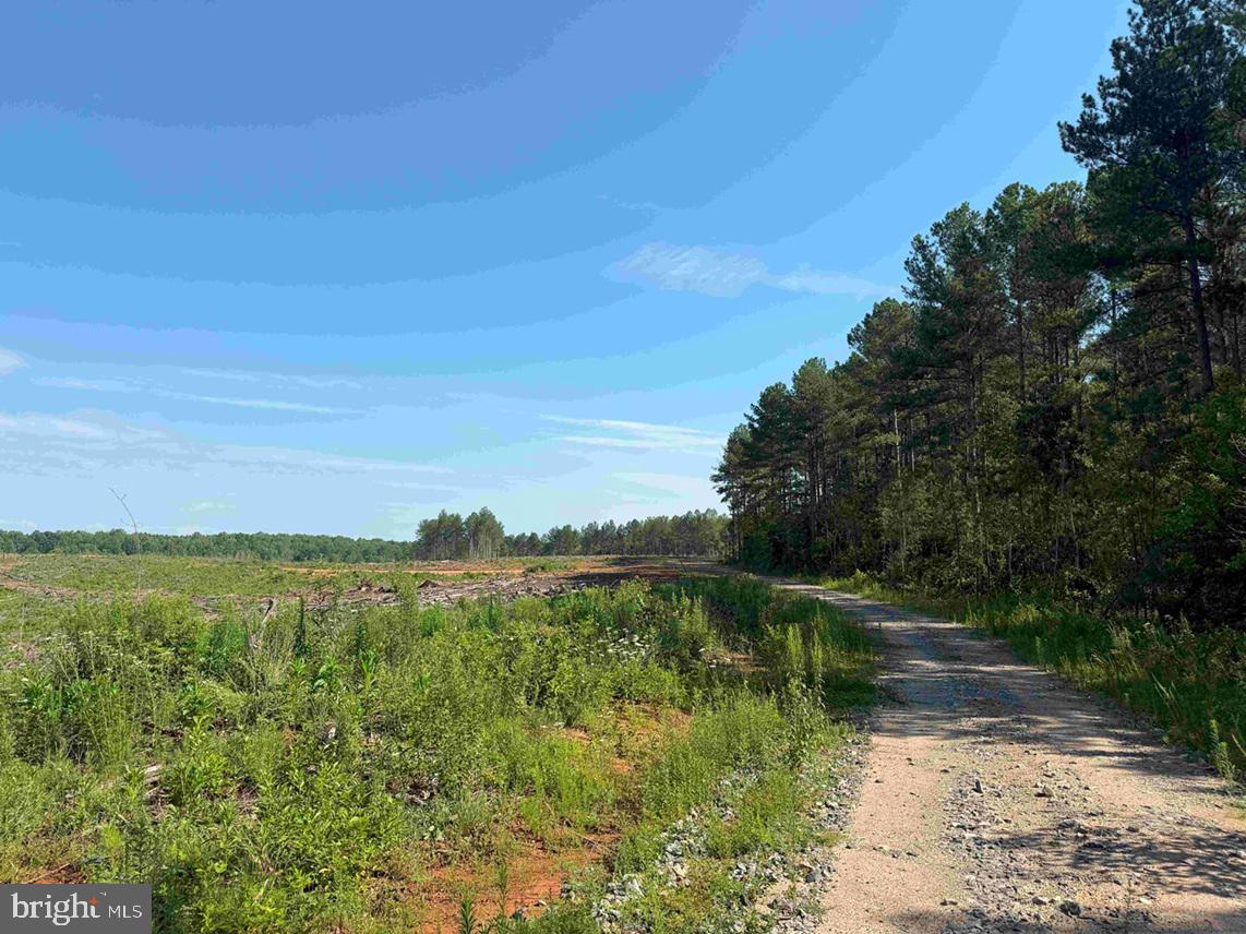 BANNISTER TOWN ROAD (TRACT DTOF LOUISA), LOUISA, Virginia 23093, ,Farm,For Sale,BANNISTER TOWN ROAD (TRACT DTOF LOUISA),VALA2008244 MLS # VALA2008244 BANNISTER TOWN ROAD (TRACT DTOF LOUISA), LOUISA, Virginia 23093, ,Farm,For Sale,BANNISTER TOWN ROAD (TRACT DTOF LOUISA),VALA2008244 MLS # VALA2008244
