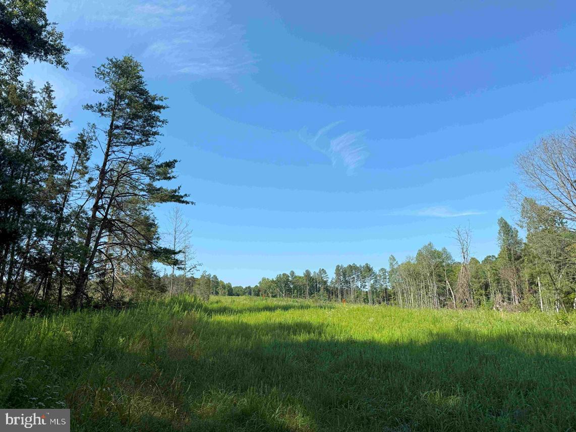 BANNISTER TOWN ROAD (TRACT DTOF LOUISA), LOUISA, Virginia 23093, ,Farm,For Sale,BANNISTER TOWN ROAD (TRACT DTOF LOUISA),VALA2008244 MLS # VALA2008244 BANNISTER TOWN ROAD (TRACT DTOF LOUISA), LOUISA, Virginia 23093, ,Farm,For Sale,BANNISTER TOWN ROAD (TRACT DTOF LOUISA),VALA2008244 MLS # VALA2008244
