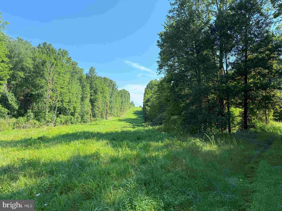 BANNISTER TOWN ROAD (TRACT DTOF LOUISA), LOUISA, Virginia 23093, ,Farm,For Sale,BANNISTER TOWN ROAD (TRACT DTOF LOUISA),VALA2008244 MLS # VALA2008244 BANNISTER TOWN ROAD (TRACT DTOF LOUISA), LOUISA, Virginia 23093, ,Farm,For Sale,BANNISTER TOWN ROAD (TRACT DTOF LOUISA),VALA2008244 MLS # VALA2008244