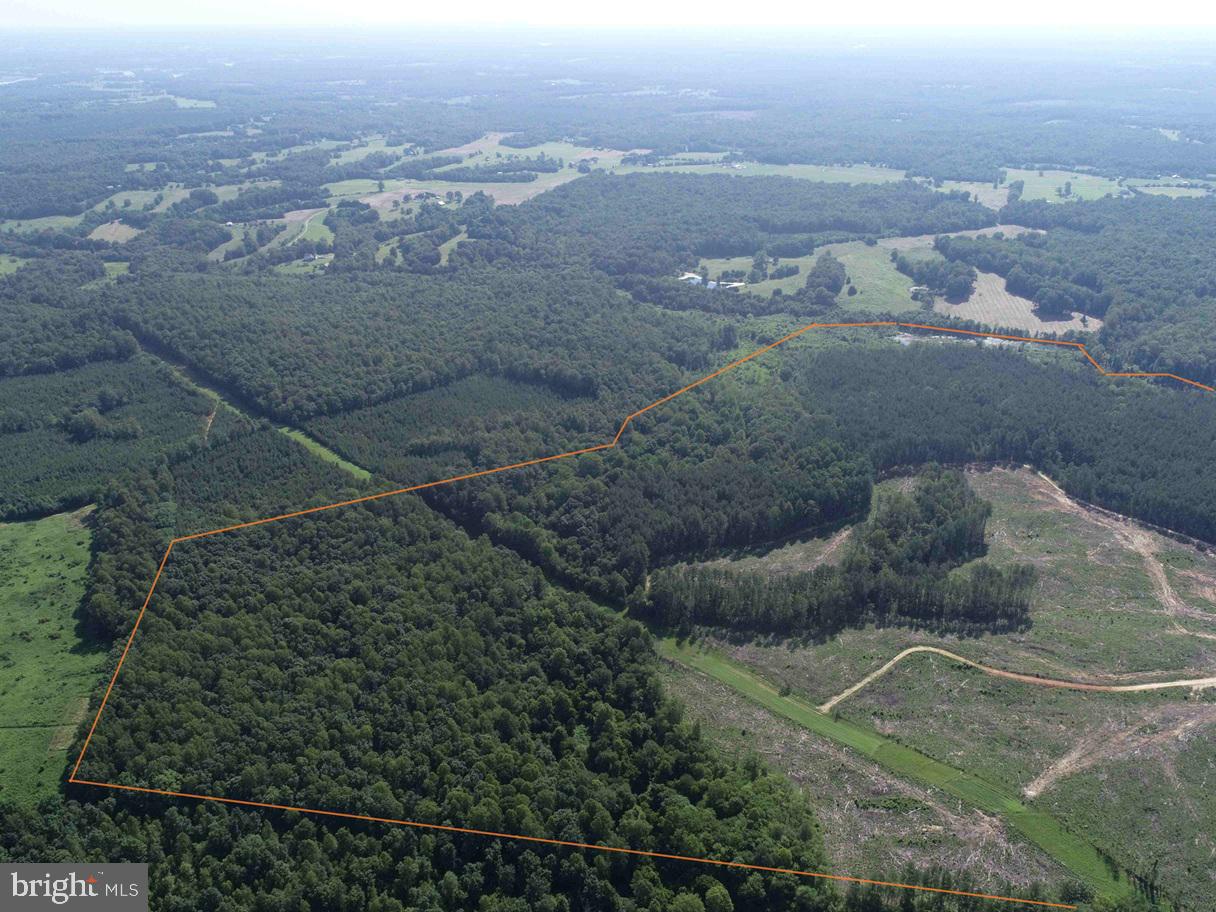 BANNISTER TOWN ROAD (TRACT DTOF LOUISA), LOUISA, Virginia 23093, ,Farm,For Sale,BANNISTER TOWN ROAD (TRACT DTOF LOUISA),VALA2008244 MLS # VALA2008244 BANNISTER TOWN ROAD (TRACT DTOF LOUISA), LOUISA, Virginia 23093, ,Farm,For Sale,BANNISTER TOWN ROAD (TRACT DTOF LOUISA),VALA2008244 MLS # VALA2008244