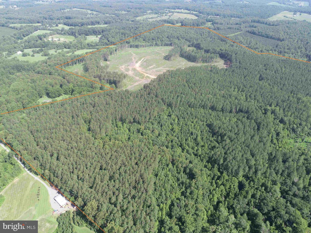 BANNISTER TOWN ROAD (TRACT DTOF LOUISA), LOUISA, Virginia 23093, ,Farm,For Sale,BANNISTER TOWN ROAD (TRACT DTOF LOUISA),VALA2008244 MLS # VALA2008244 BANNISTER TOWN ROAD (TRACT DTOF LOUISA), LOUISA, Virginia 23093, ,Farm,For Sale,BANNISTER TOWN ROAD (TRACT DTOF LOUISA),VALA2008244 MLS # VALA2008244
