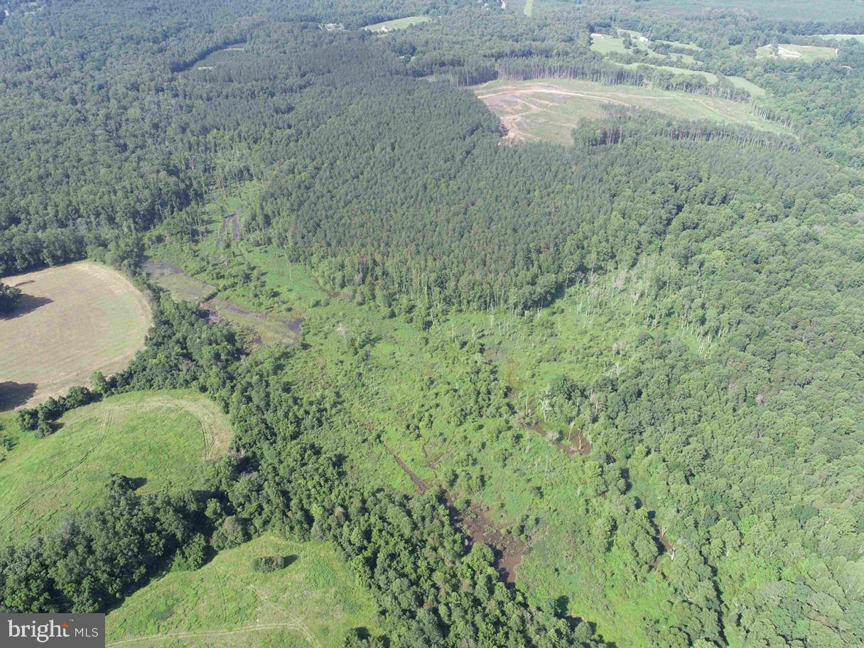 BANNISTER TOWN ROAD (TRACT DTOF LOUISA), LOUISA, Virginia 23093, ,Farm,For Sale,BANNISTER TOWN ROAD (TRACT DTOF LOUISA),VALA2008244 MLS # VALA2008244 BANNISTER TOWN ROAD (TRACT DTOF LOUISA), LOUISA, Virginia 23093, ,Farm,For Sale,BANNISTER TOWN ROAD (TRACT DTOF LOUISA),VALA2008244 MLS # VALA2008244