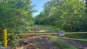BANNISTER TOWN ROAD (TRACT DTOF LOUISA), LOUISA, Virginia 23093, ,Farm,For Sale,BANNISTER TOWN ROAD (TRACT DTOF LOUISA),VALA2008244 MLS # VALA2008244