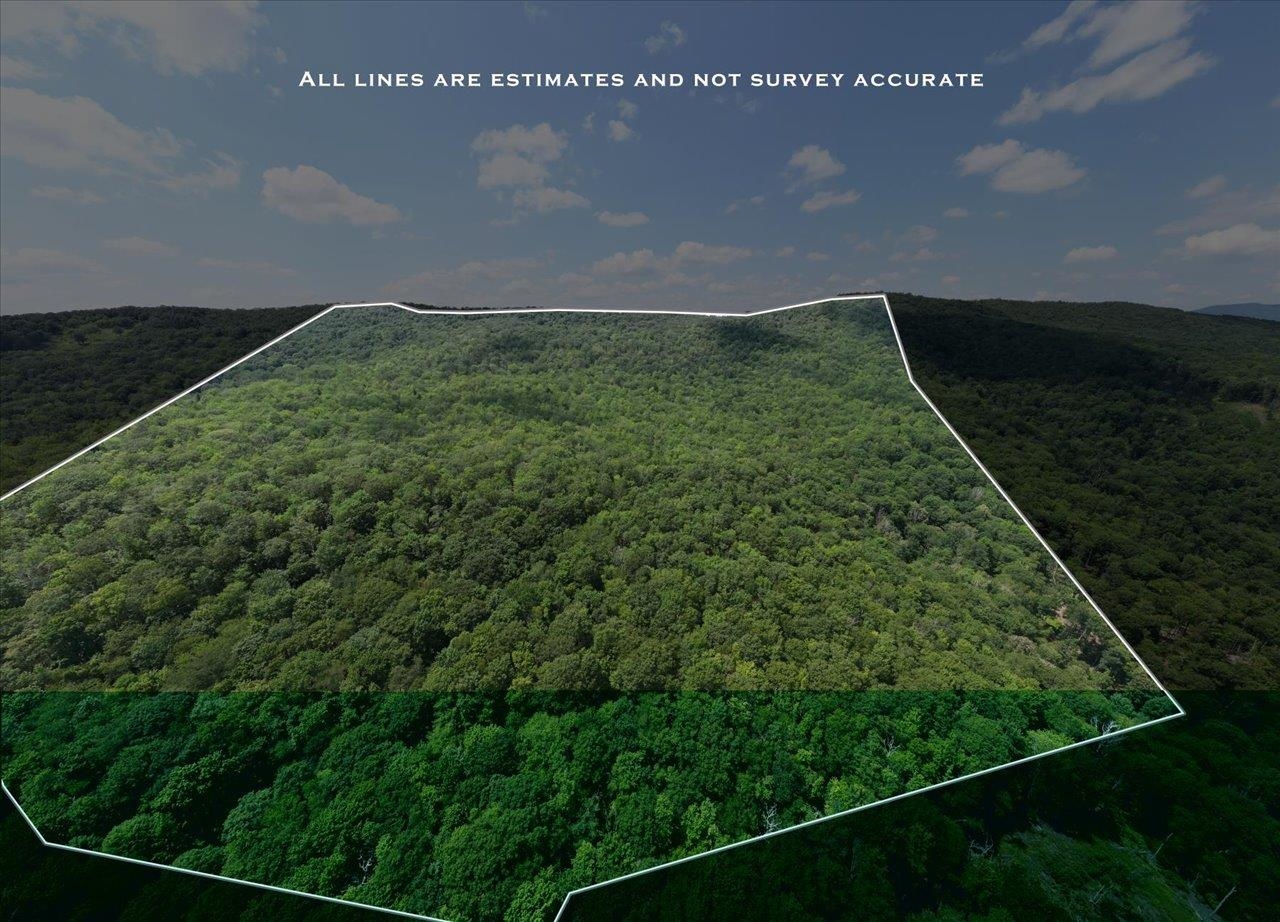 TBD HALTERMAN HOLLOW LN, MONTEREY, Virginia 24465, ,Farm,14,TBD HALTERMAN HOLLOW LN,666756 MLS # 666756