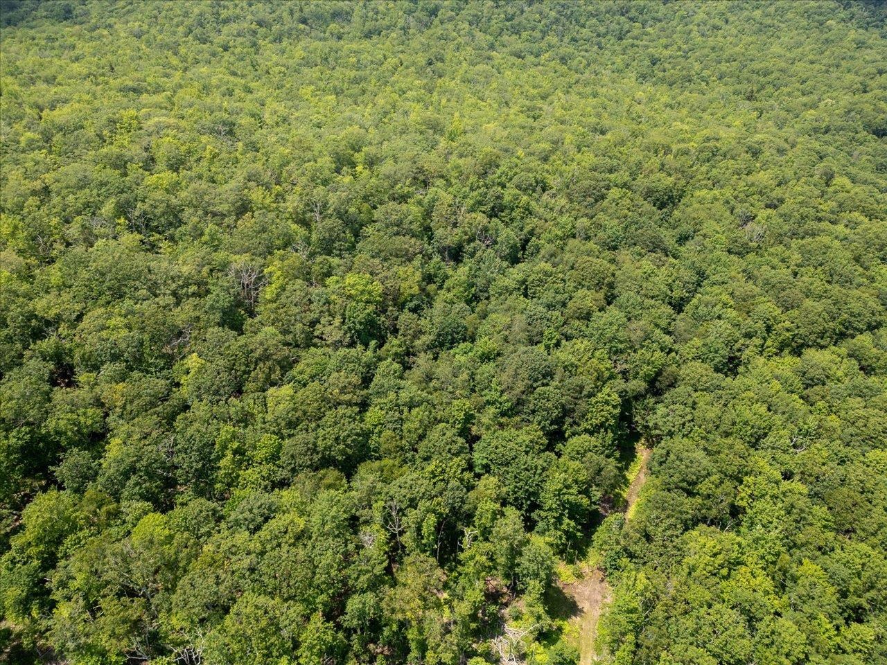 TBD HALTERMAN HOLLOW LN, MONTEREY, Virginia 24465, ,Farm,14,TBD HALTERMAN HOLLOW LN,666756 MLS # 666756