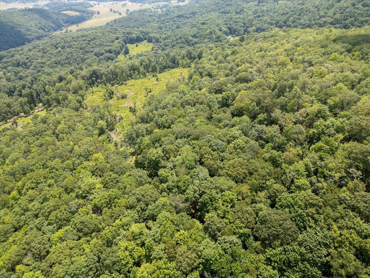 TBD HALTERMAN HOLLOW LN, MONTEREY, Virginia 24465, ,Farm,14,TBD HALTERMAN HOLLOW LN,666756 MLS # 666756