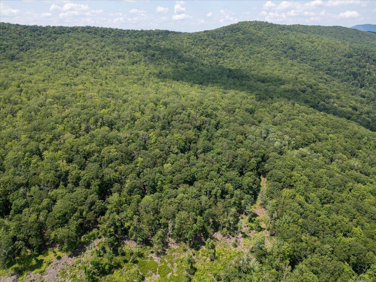 TBD HALTERMAN HOLLOW LN, MONTEREY, Virginia 24465, ,Farm,14,TBD HALTERMAN HOLLOW LN,666756 MLS # 666756