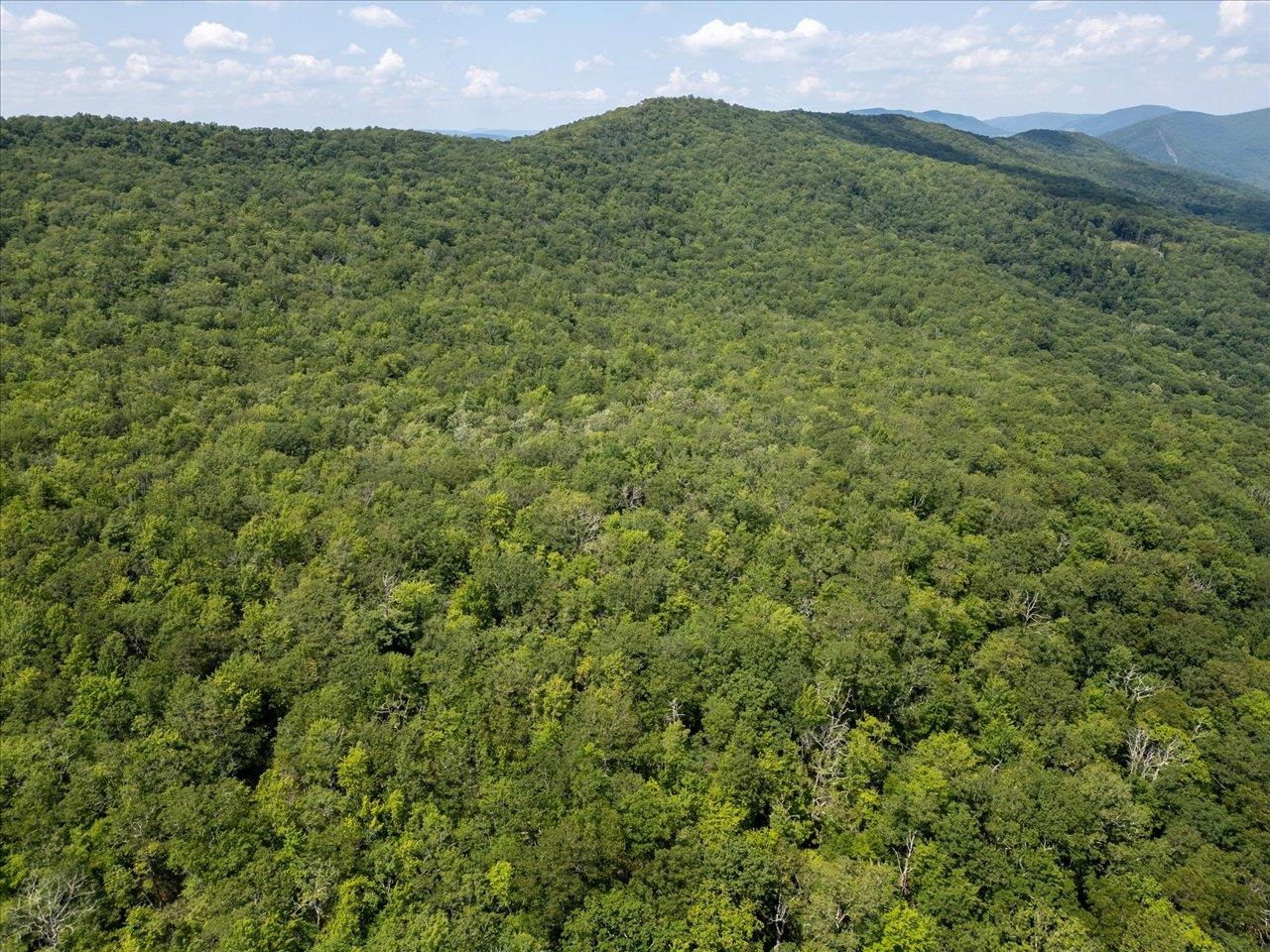 TBD HALTERMAN HOLLOW LN, MONTEREY, Virginia 24465, ,Farm,14,TBD HALTERMAN HOLLOW LN,666756 MLS # 666756