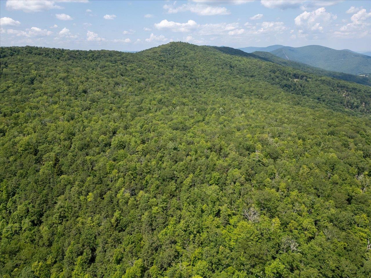 TBD HALTERMAN HOLLOW LN, MONTEREY, Virginia 24465, ,Farm,14,TBD HALTERMAN HOLLOW LN,666756 MLS # 666756