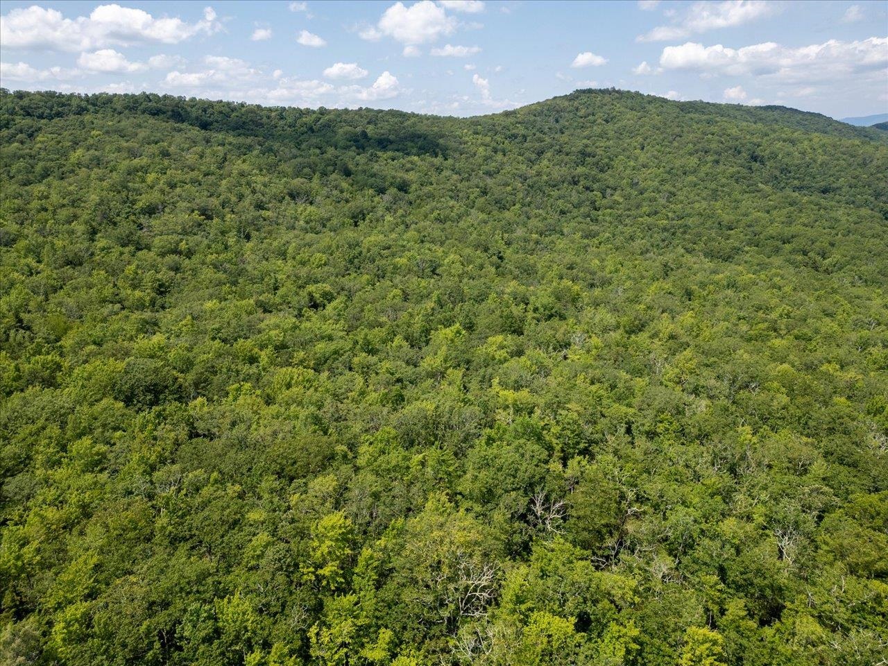 TBD HALTERMAN HOLLOW LN, MONTEREY, Virginia 24465, ,Farm,14,TBD HALTERMAN HOLLOW LN,666756 MLS # 666756