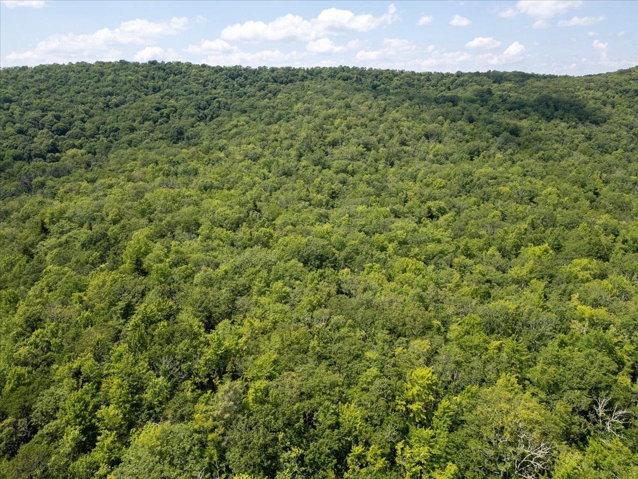 TBD HALTERMAN HOLLOW LN, MONTEREY, Virginia 24465, ,Farm,14,TBD HALTERMAN HOLLOW LN,666756 MLS # 666756