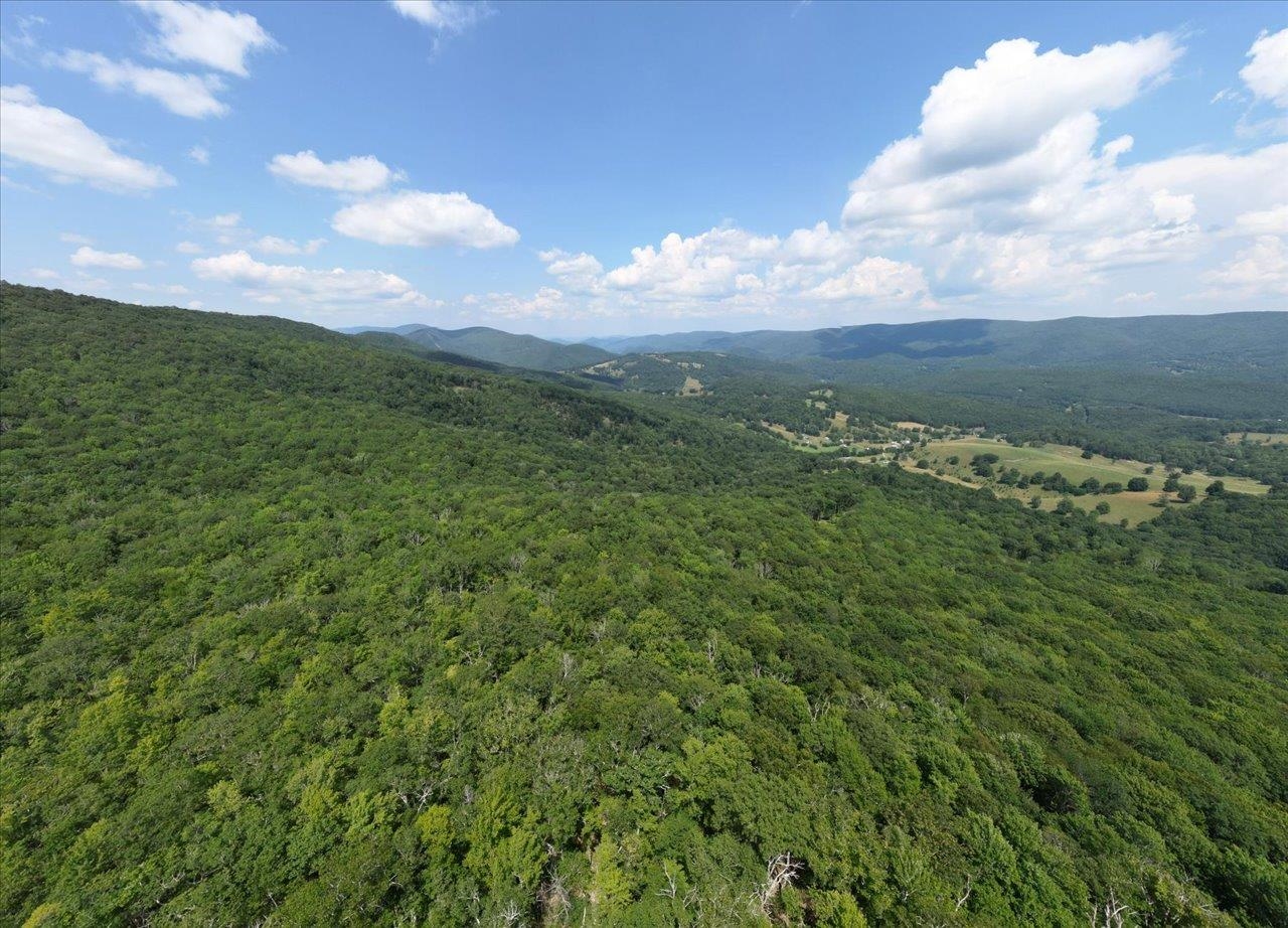 TBD HALTERMAN HOLLOW LN, MONTEREY, Virginia 24465, ,Farm,14,TBD HALTERMAN HOLLOW LN,666756 MLS # 666756