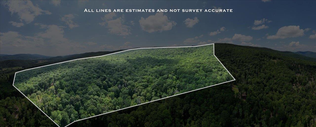 TBD HALTERMAN HOLLOW LN, MONTEREY, Virginia 24465, ,Farm,14,TBD HALTERMAN HOLLOW LN,666756 MLS # 666756