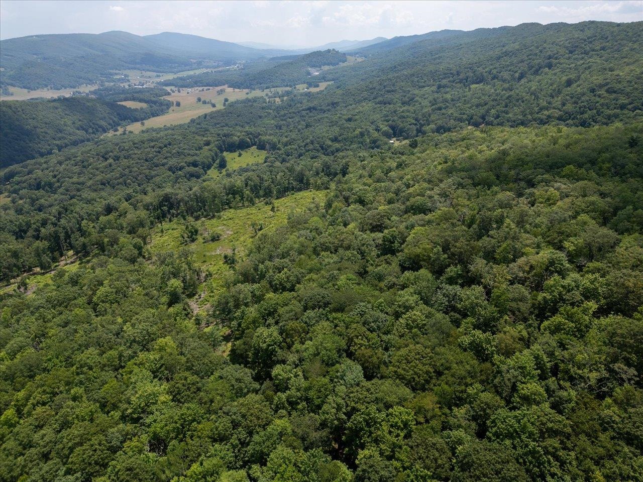 TBD HALTERMAN HOLLOW LN, MONTEREY, Virginia 24465, ,Farm,14,TBD HALTERMAN HOLLOW LN,666756 MLS # 666756