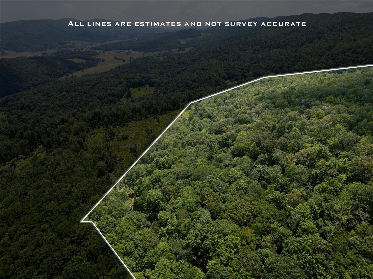 TBD HALTERMAN HOLLOW LN, MONTEREY, Virginia 24465, ,Farm,14,TBD HALTERMAN HOLLOW LN,666756 MLS # 666756