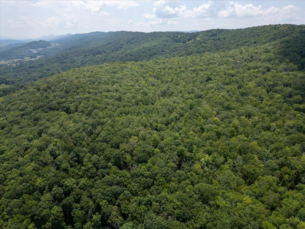 TBD HALTERMAN HOLLOW LN, MONTEREY, Virginia 24465, ,Farm,14,TBD HALTERMAN HOLLOW LN,666756 MLS # 666756