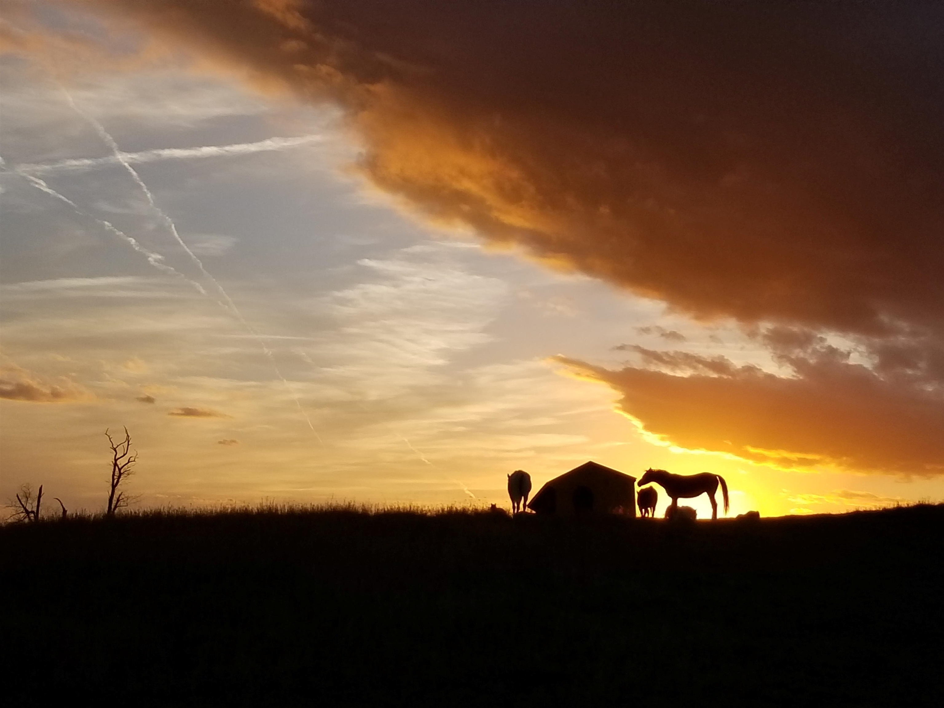747 NEW PROVIDENCE RD, RAPHINE, Virginia 24472, 4 Bedrooms Bedrooms, ,2 BathroomsBathrooms,Residential,14,747 NEW PROVIDENCE RD,666708 MLS # 666708