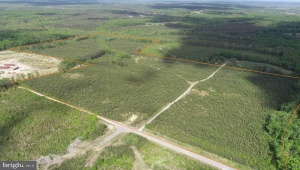 COMMERCE ROAD (RT 728) (TRACT: 5977 BALDWIN-CARTER, CUMBERLAND, Virginia 23040, ,Farm,For Sale,COMMERCE ROAD (RT 728) (TRACT: 5977 BALDWIN-CARTER,VACB2000062 MLS # VACB2000062