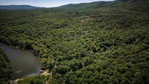 TBD STRIBLING SPRINGS RD, MOUNT SOLON, Virginia 22843, ,Land,14,TBD STRIBLING SPRINGS RD,666793 MLS # 666793