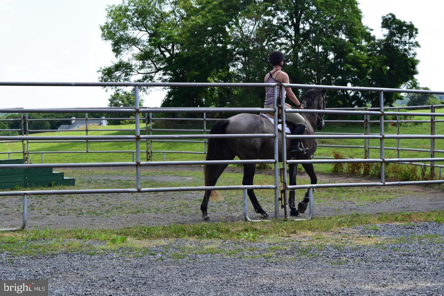 3959 COBBLER MOUNTAIN RD, DELAPLANE, Virginia 20144, 3 Bedrooms Bedrooms, ,2 BathroomsBathrooms,Residential,For Sale,3959 COBBLER MOUNTAIN RD,VAFQ2017454 MLS # VAFQ2017454
