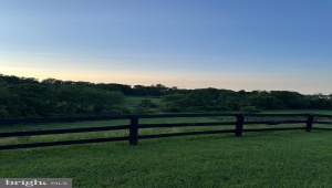3959 COBBLER MOUNTAIN RD DELAPLANE Virginia 20144