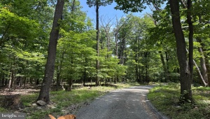 TBD APPALACHIAN TRAIL RD ROUND HILL Virginia 20141