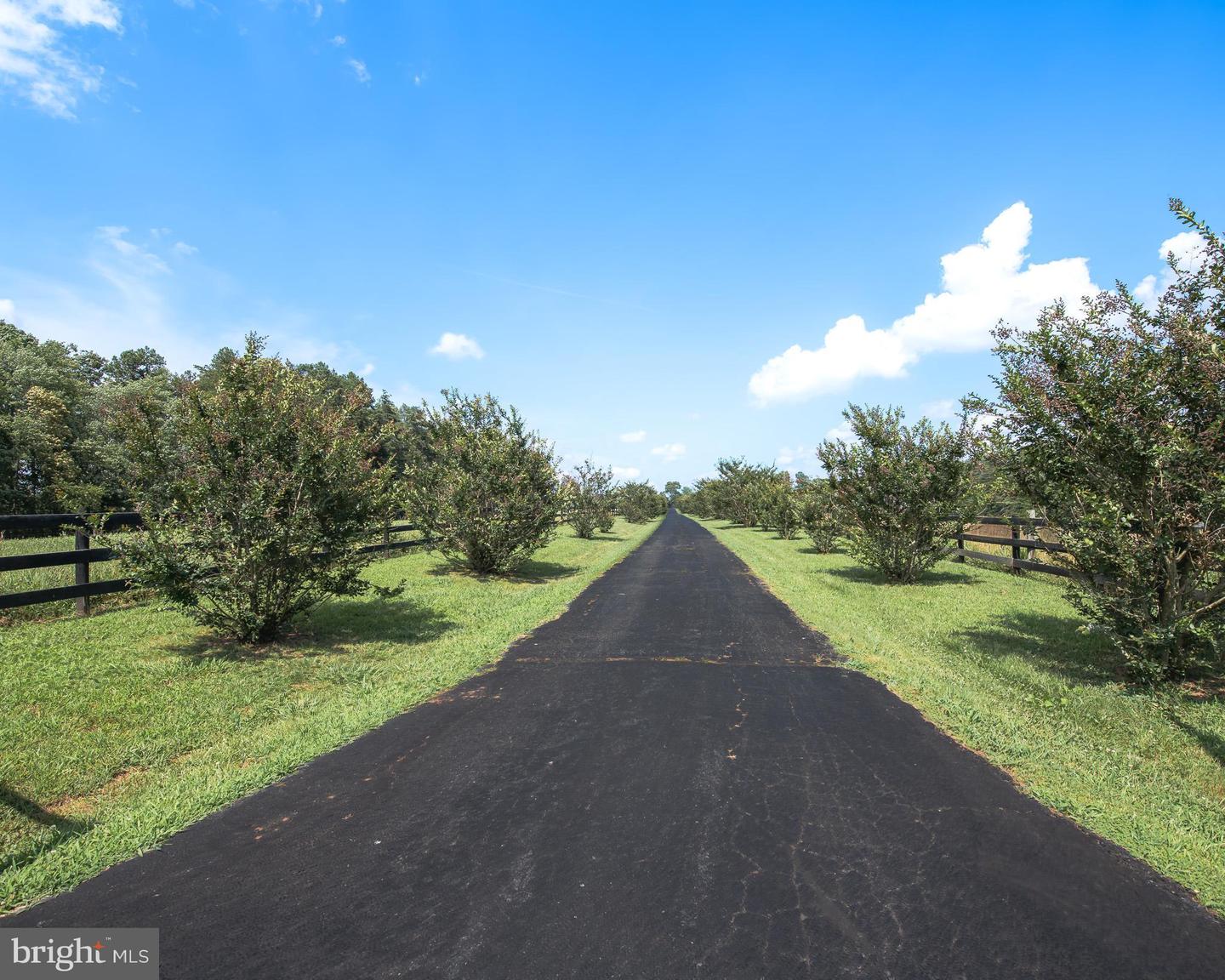 2667 UNION CHURCH RD, BUCKINGHAM, Virginia 23921, 4 Bedrooms Bedrooms, ,4 BathroomsBathrooms,Residential,For Sale,2667 UNION CHURCH RD,VABH2000196 MLS # VABH2000196