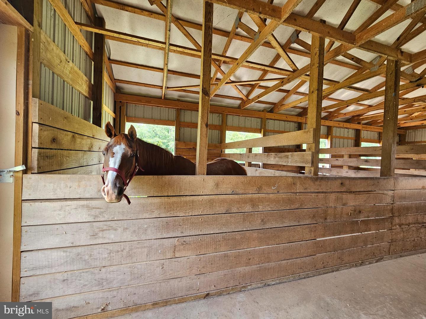 2667 UNION CHURCH RD, BUCKINGHAM, Virginia 23921, 4 Bedrooms Bedrooms, ,4 BathroomsBathrooms,Residential,For Sale,2667 UNION CHURCH RD,VABH2000196 MLS # VABH2000196