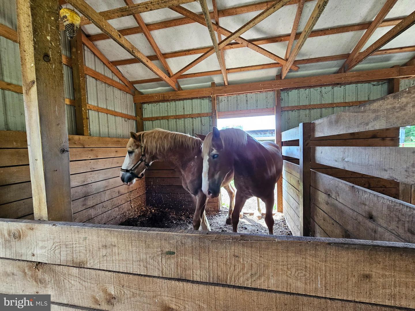 2667 UNION CHURCH RD, BUCKINGHAM, Virginia 23921, 4 Bedrooms Bedrooms, ,4 BathroomsBathrooms,Residential,For Sale,2667 UNION CHURCH RD,VABH2000196 MLS # VABH2000196