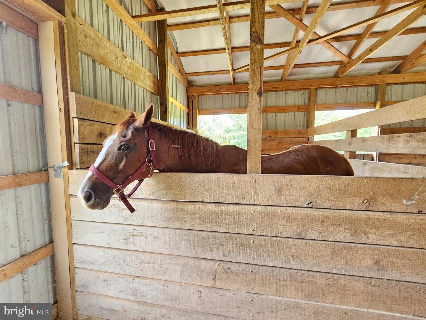 2667 UNION CHURCH RD, BUCKINGHAM, Virginia 23921, 4 Bedrooms Bedrooms, ,4 BathroomsBathrooms,Residential,For Sale,2667 UNION CHURCH RD,VABH2000196 MLS # VABH2000196