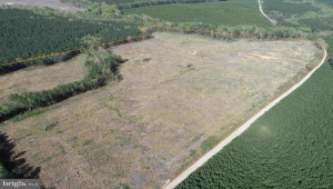CHERRY HILL RD. (RT. 609) (TRACT:7266 D. PLECKLER), MC KENNEY, Virginia 23872, ,Farm,For Sale,CHERRY HILL RD. (RT. 609) (TRACT:7266 D. PLECKLER),VADW2000046 MLS # VADW2000046