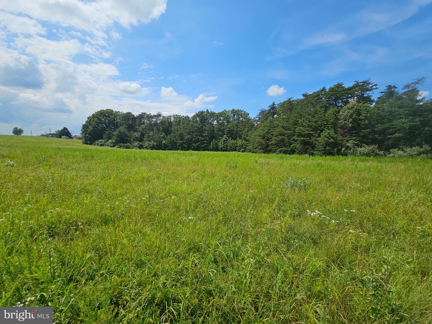 11145 BRENT TOWN RD, CATLETT, Virginia 20119, ,Land,For Sale,11145 BRENT TOWN RD,VAFQ2017484 MLS # VAFQ2017484 11145 BRENT TOWN RD, CATLETT, Virginia 20119, ,Land,For Sale,11145 BRENT TOWN RD,VAFQ2017484 MLS # VAFQ2017484