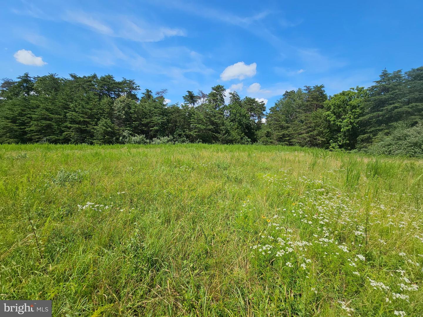 11145 BRENT TOWN RD, CATLETT, Virginia 20119, ,Land,For Sale,11145 BRENT TOWN RD,VAFQ2017484 MLS # VAFQ2017484 11145 BRENT TOWN RD, CATLETT, Virginia 20119, ,Land,For Sale,11145 BRENT TOWN RD,VAFQ2017484 MLS # VAFQ2017484