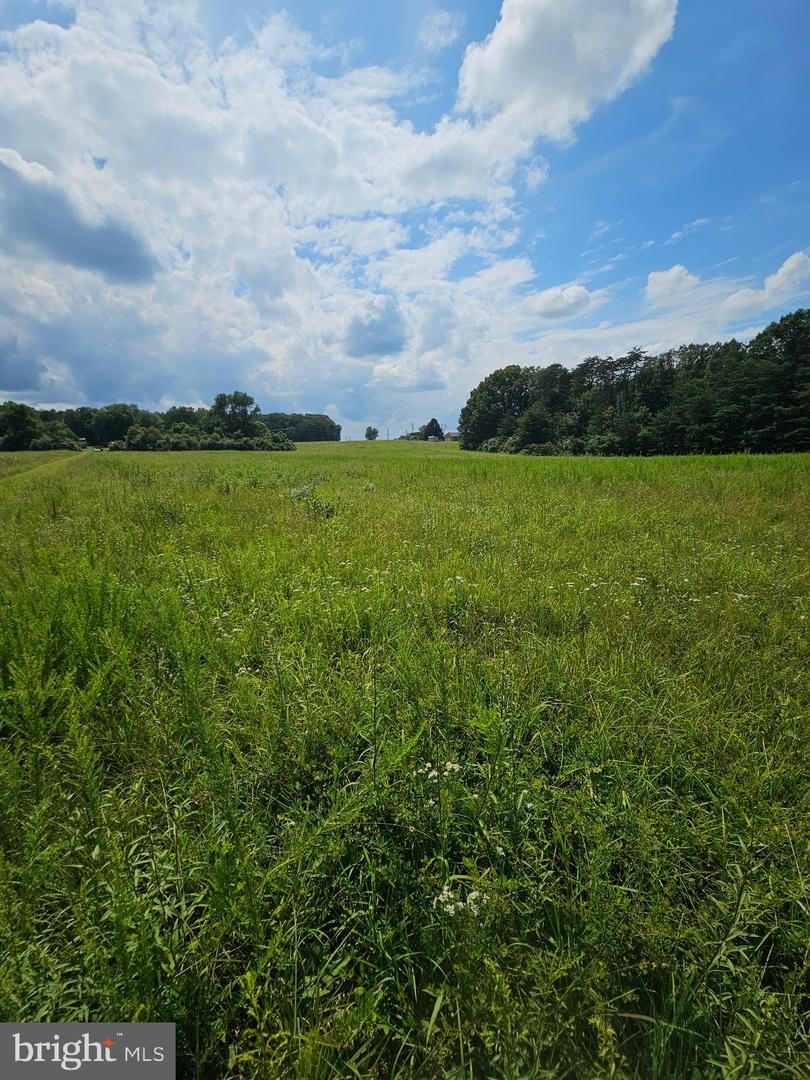 11145 BRENT TOWN RD, CATLETT, Virginia 20119, ,Land,For Sale,11145 BRENT TOWN RD,VAFQ2017484 MLS # VAFQ2017484 11145 BRENT TOWN RD, CATLETT, Virginia 20119, ,Land,For Sale,11145 BRENT TOWN RD,VAFQ2017484 MLS # VAFQ2017484