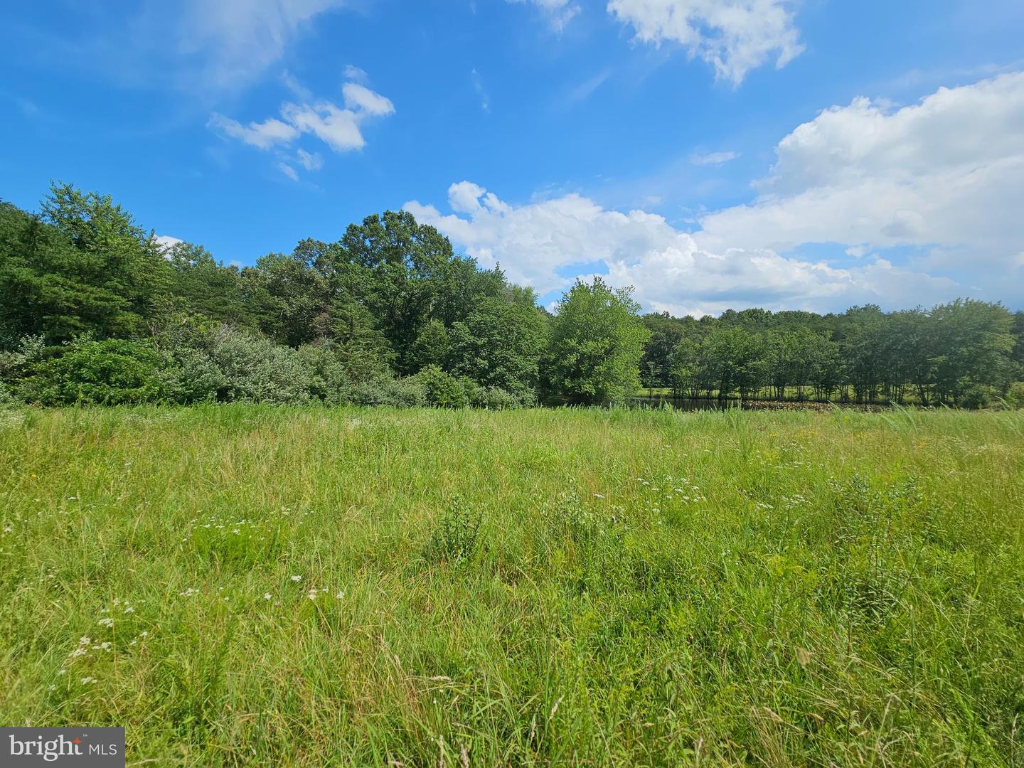 11145 BRENT TOWN RD, CATLETT, Virginia 20119, ,Land,For Sale,11145 BRENT TOWN RD,VAFQ2017484 MLS # VAFQ2017484 11145 BRENT TOWN RD, CATLETT, Virginia 20119, ,Land,For Sale,11145 BRENT TOWN RD,VAFQ2017484 MLS # VAFQ2017484