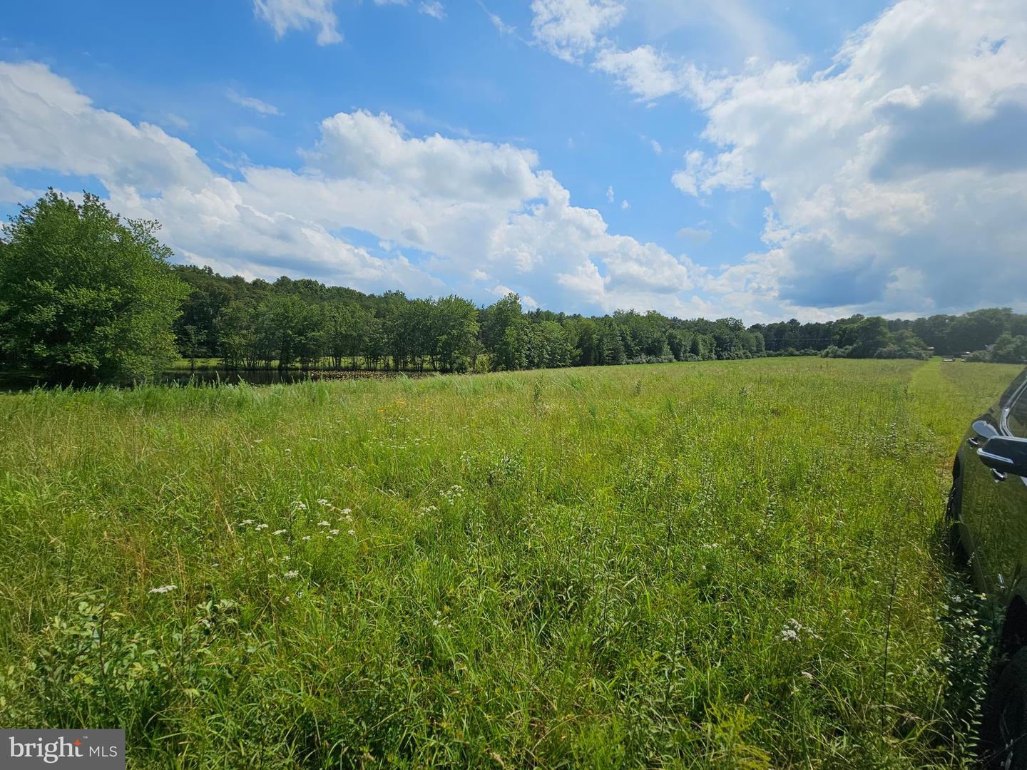 11145 BRENT TOWN RD, CATLETT, Virginia 20119, ,Land,For Sale,11145 BRENT TOWN RD,VAFQ2017484 MLS # VAFQ2017484 11145 BRENT TOWN RD, CATLETT, Virginia 20119, ,Land,For Sale,11145 BRENT TOWN RD,VAFQ2017484 MLS # VAFQ2017484