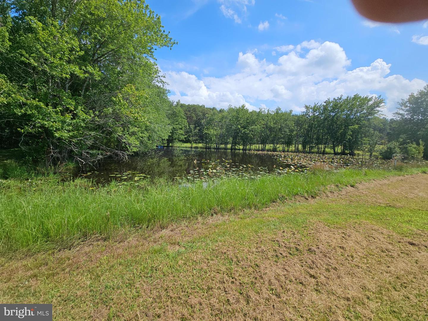 11145 BRENT TOWN RD, CATLETT, Virginia 20119, ,Land,For Sale,11145 BRENT TOWN RD,VAFQ2017484 MLS # VAFQ2017484 11145 BRENT TOWN RD, CATLETT, Virginia 20119, ,Land,For Sale,11145 BRENT TOWN RD,VAFQ2017484 MLS # VAFQ2017484