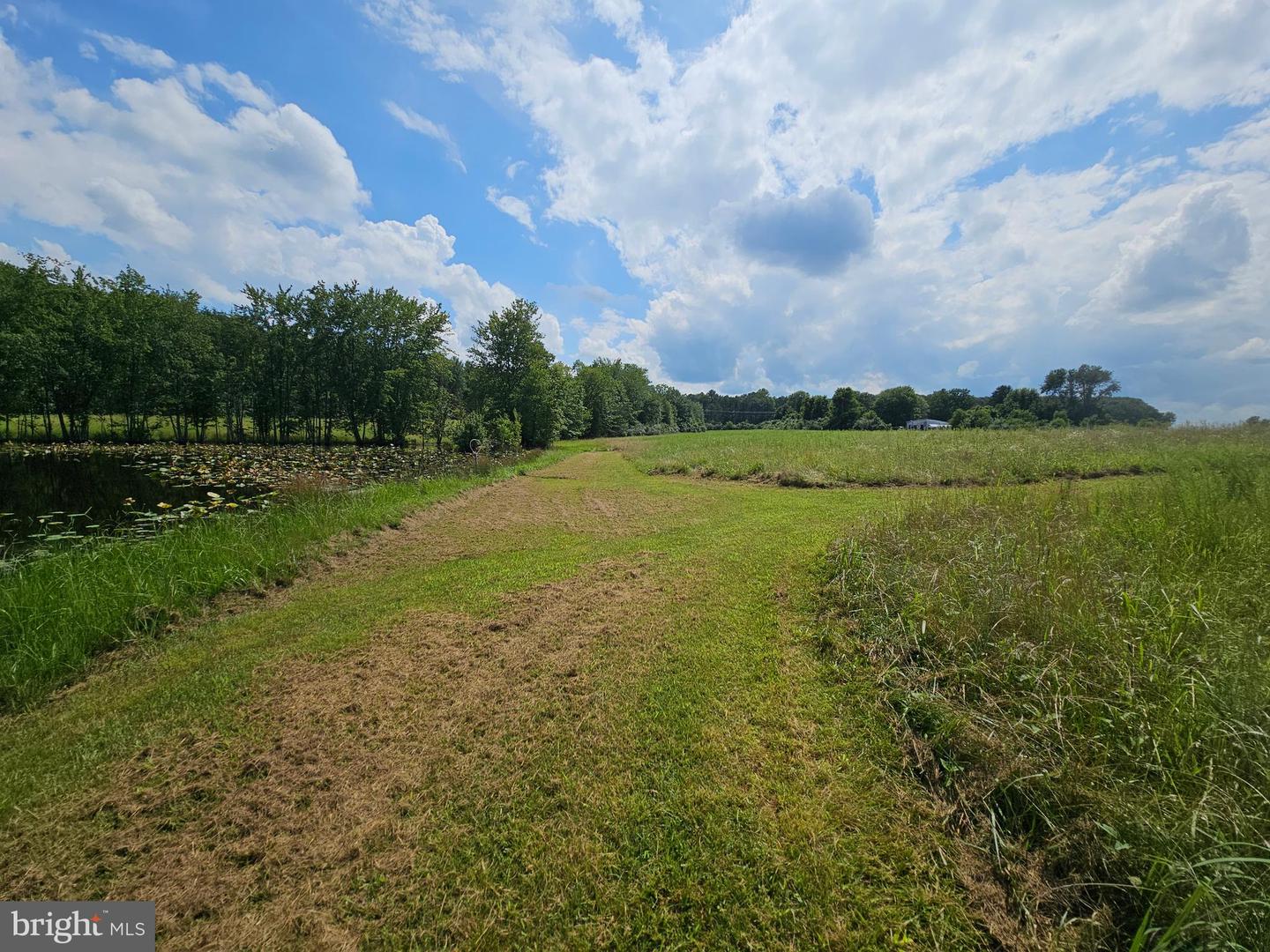 11145 BRENT TOWN RD, CATLETT, Virginia 20119, ,Land,For Sale,11145 BRENT TOWN RD,VAFQ2017484 MLS # VAFQ2017484 11145 BRENT TOWN RD, CATLETT, Virginia 20119, ,Land,For Sale,11145 BRENT TOWN RD,VAFQ2017484 MLS # VAFQ2017484