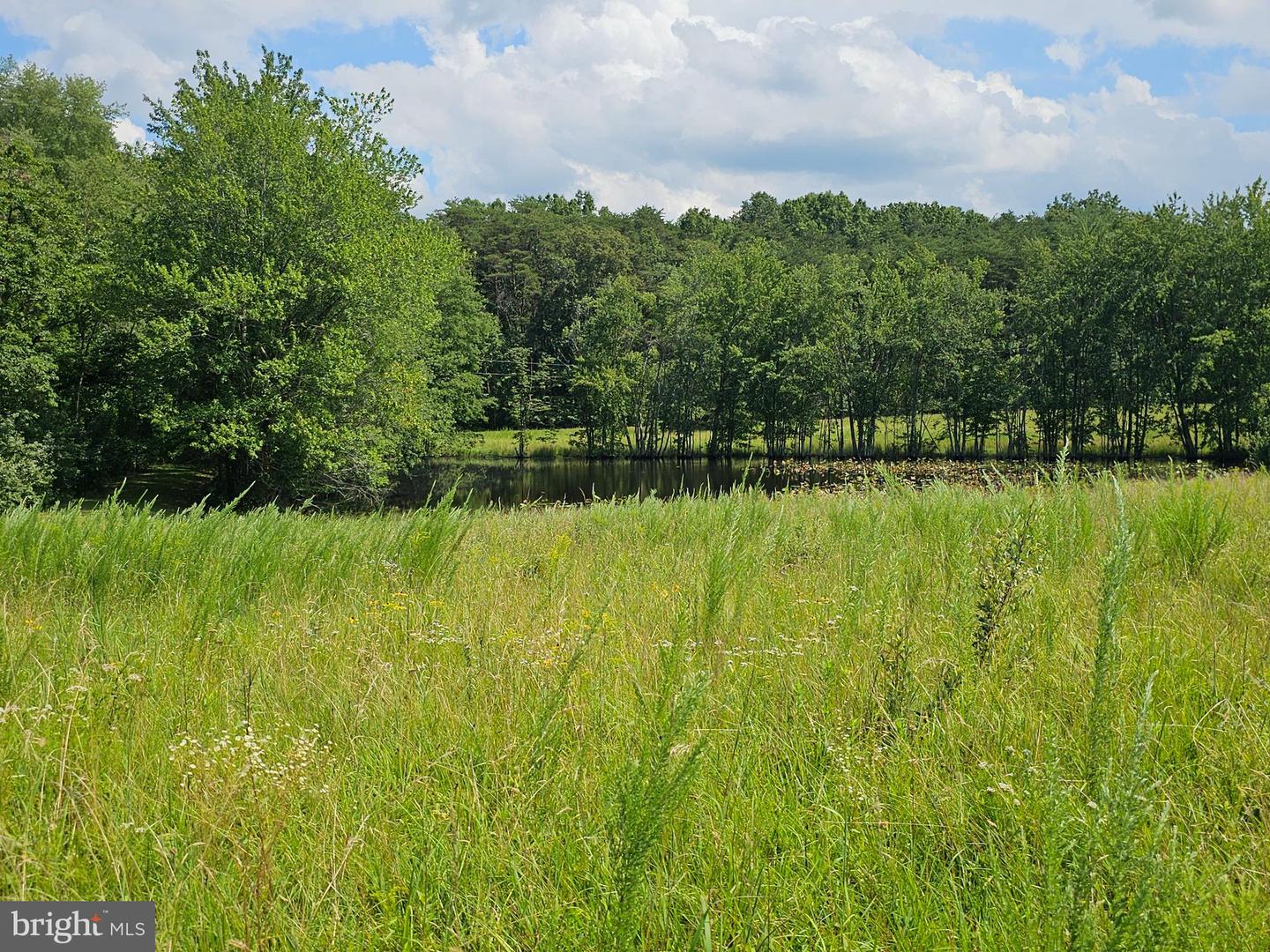 11145 BRENT TOWN RD, CATLETT, Virginia 20119, ,Land,For Sale,11145 BRENT TOWN RD,VAFQ2017484 MLS # VAFQ2017484 11145 BRENT TOWN RD, CATLETT, Virginia 20119, ,Land,For Sale,11145 BRENT TOWN RD,VAFQ2017484 MLS # VAFQ2017484