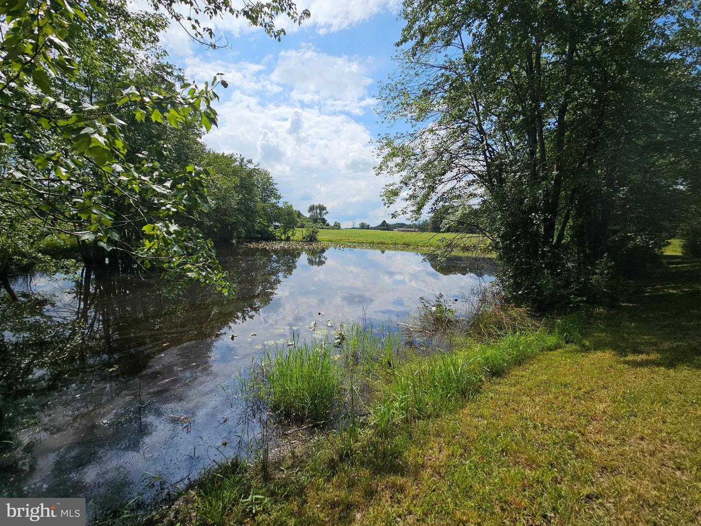 11145 BRENT TOWN RD, CATLETT, Virginia 20119, ,Land,For Sale,11145 BRENT TOWN RD,VAFQ2017484 MLS # VAFQ2017484 11145 BRENT TOWN RD, CATLETT, Virginia 20119, ,Land,For Sale,11145 BRENT TOWN RD,VAFQ2017484 MLS # VAFQ2017484