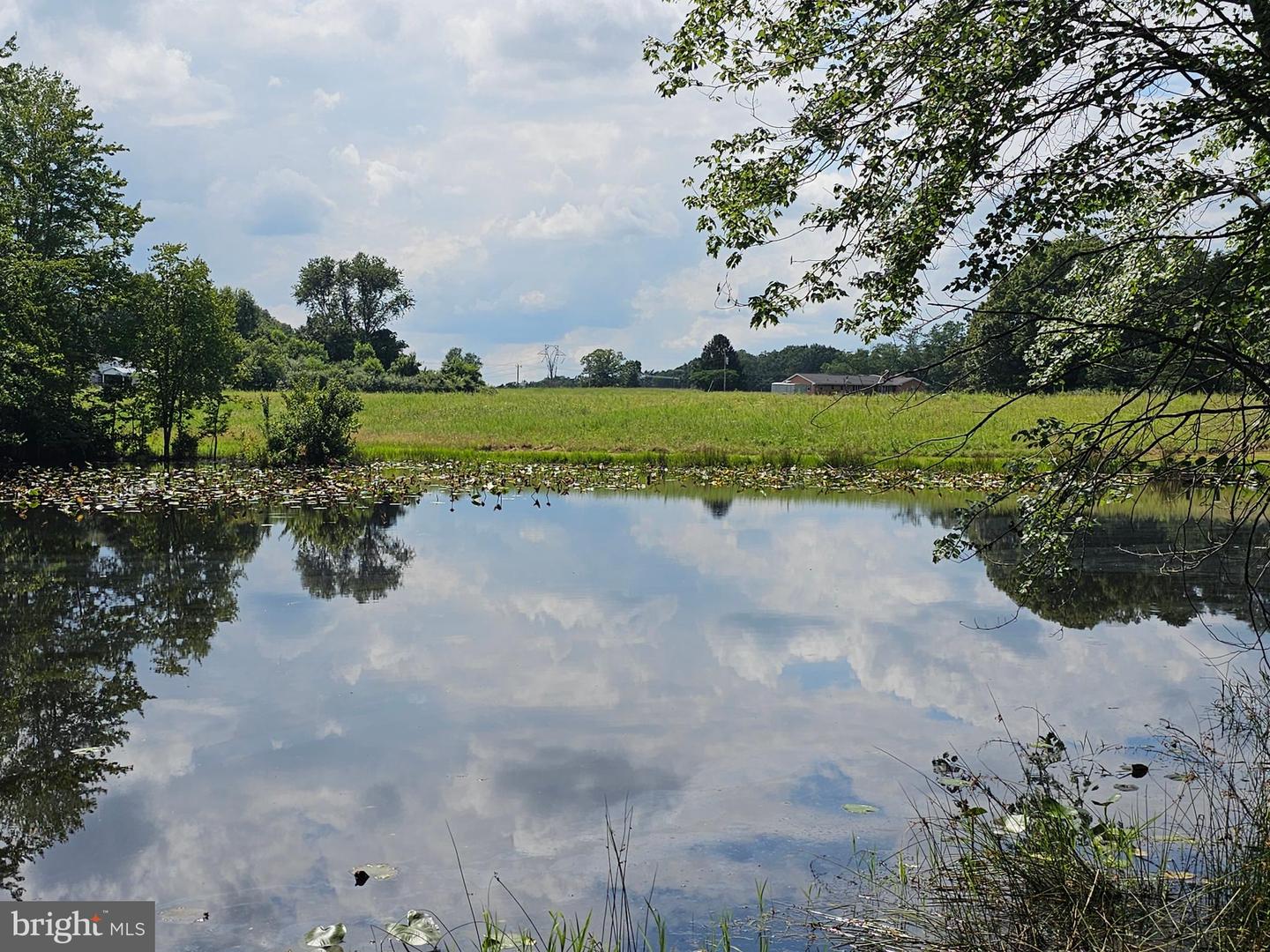 11145 BRENT TOWN RD, CATLETT, Virginia 20119, ,Land,For Sale,11145 BRENT TOWN RD,VAFQ2017484 MLS # VAFQ2017484 11145 BRENT TOWN RD, CATLETT, Virginia 20119, ,Land,For Sale,11145 BRENT TOWN RD,VAFQ2017484 MLS # VAFQ2017484