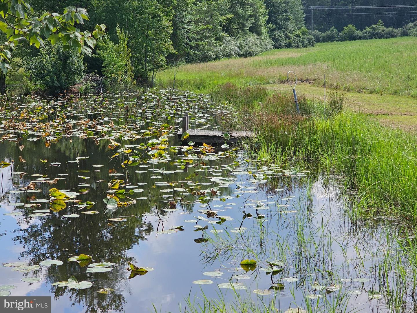 11145 BRENT TOWN RD, CATLETT, Virginia 20119, ,Land,For Sale,11145 BRENT TOWN RD,VAFQ2017484 MLS # VAFQ2017484 11145 BRENT TOWN RD, CATLETT, Virginia 20119, ,Land,For Sale,11145 BRENT TOWN RD,VAFQ2017484 MLS # VAFQ2017484