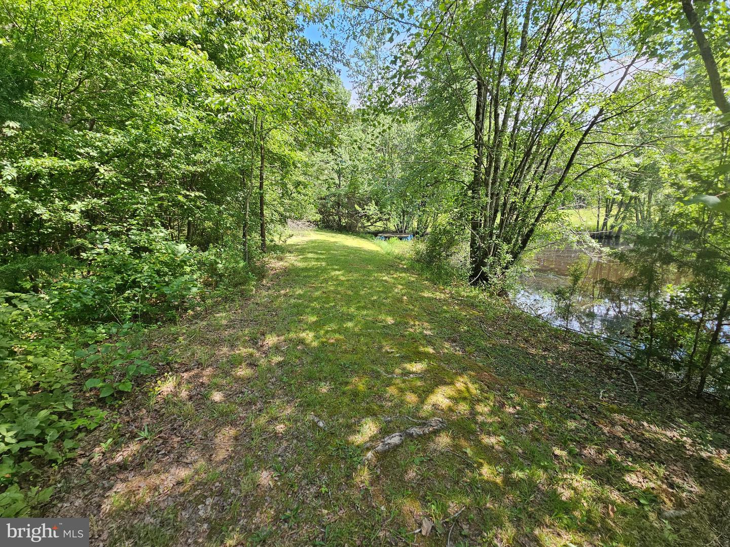 11145 BRENT TOWN RD, CATLETT, Virginia 20119, ,Land,For Sale,11145 BRENT TOWN RD,VAFQ2017484 MLS # VAFQ2017484 11145 BRENT TOWN RD, CATLETT, Virginia 20119, ,Land,For Sale,11145 BRENT TOWN RD,VAFQ2017484 MLS # VAFQ2017484