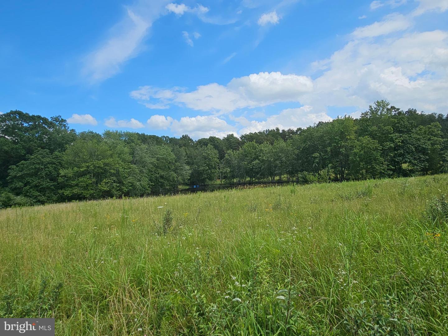 11145 BRENT TOWN RD, CATLETT, Virginia 20119, ,Land,For Sale,11145 BRENT TOWN RD,VAFQ2017484 MLS # VAFQ2017484 11145 BRENT TOWN RD, CATLETT, Virginia 20119, ,Land,For Sale,11145 BRENT TOWN RD,VAFQ2017484 MLS # VAFQ2017484