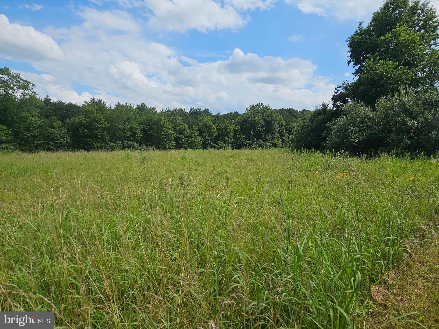 11145 BRENT TOWN RD, CATLETT, Virginia 20119, ,Land,For Sale,11145 BRENT TOWN RD,VAFQ2017484 MLS # VAFQ2017484 11145 BRENT TOWN RD, CATLETT, Virginia 20119, ,Land,For Sale,11145 BRENT TOWN RD,VAFQ2017484 MLS # VAFQ2017484