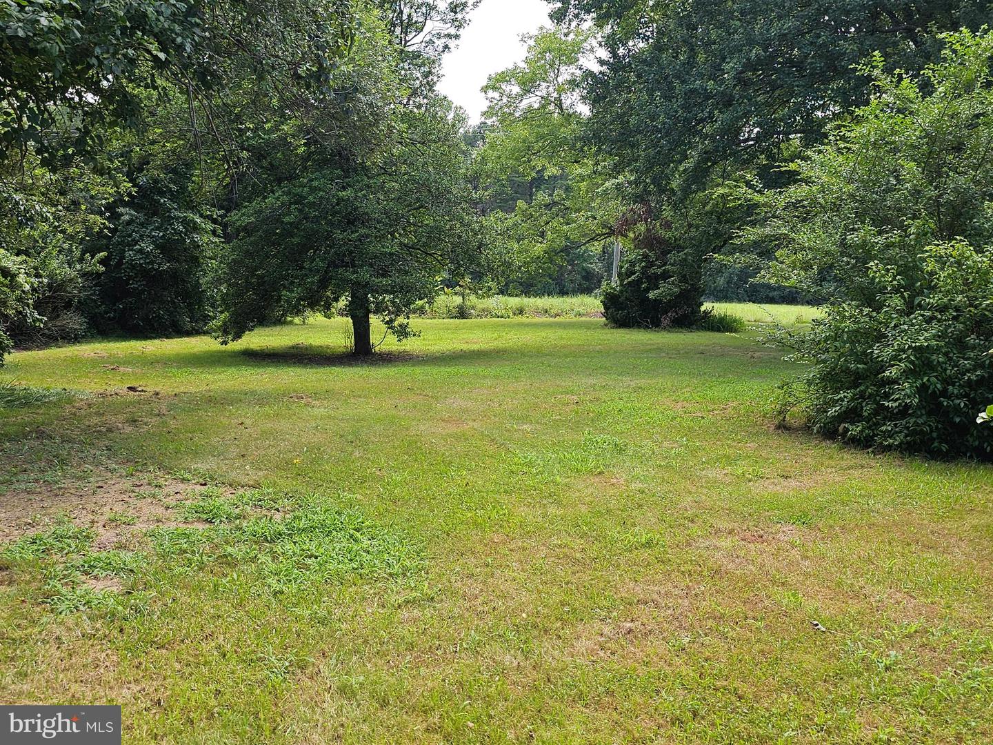 11145 BRENT TOWN RD, CATLETT, Virginia 20119, ,Land,For Sale,11145 BRENT TOWN RD,VAFQ2017484 MLS # VAFQ2017484 11145 BRENT TOWN RD, CATLETT, Virginia 20119, ,Land,For Sale,11145 BRENT TOWN RD,VAFQ2017484 MLS # VAFQ2017484