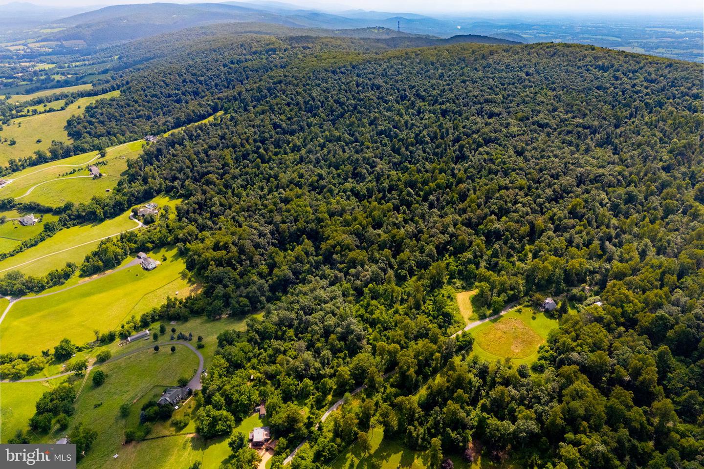 TREE CROPS LANE, ROUND HILL, Virginia 20141, ,Farm,For Sale,TREE CROPS LANE,VALO2102978 MLS # VALO2102978